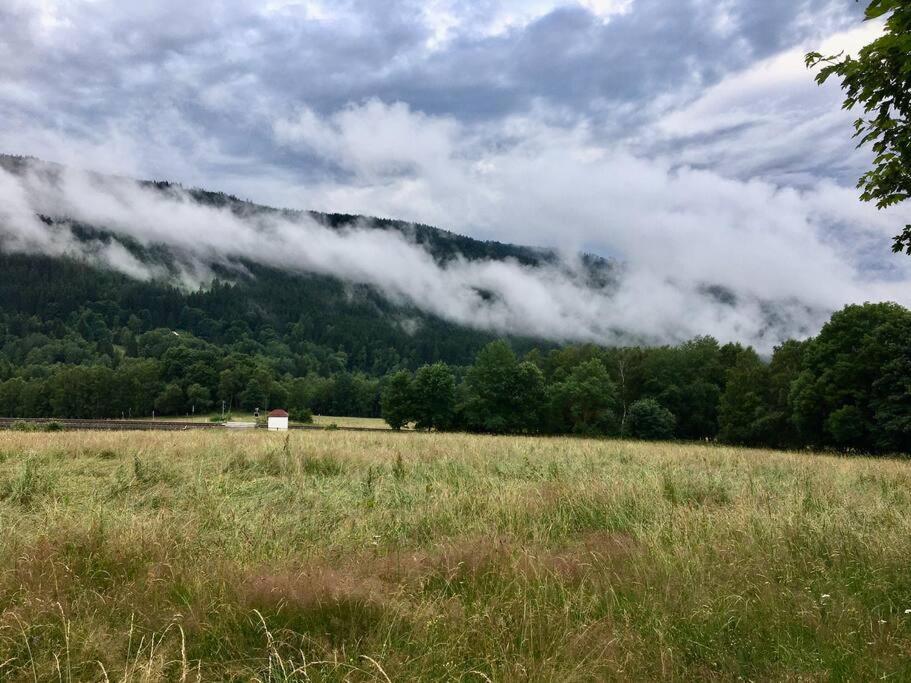 Apartmán Borůvka Železná Ruda Exterior foto